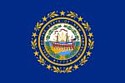 New Hampshire State Flag