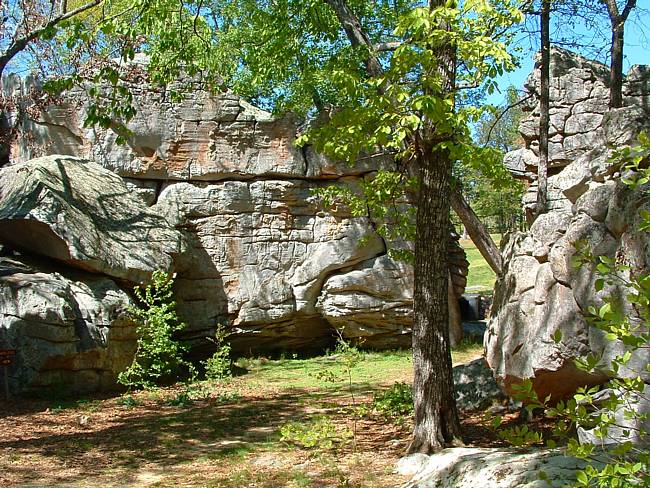 Horse Pens 40