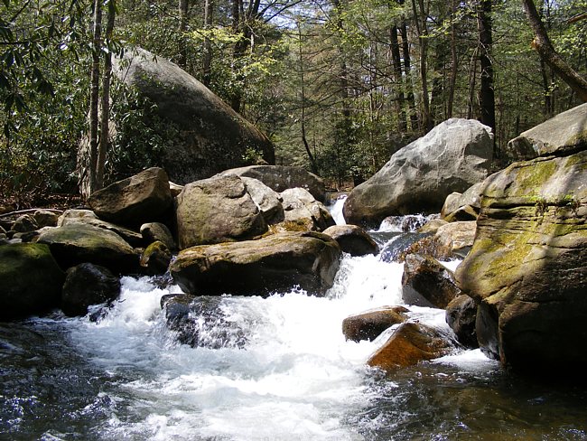 Middle Saluda River - Jones Gap State Park, South Carolina