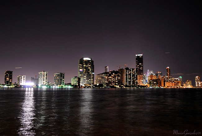 Miami Night Skyline - Florida