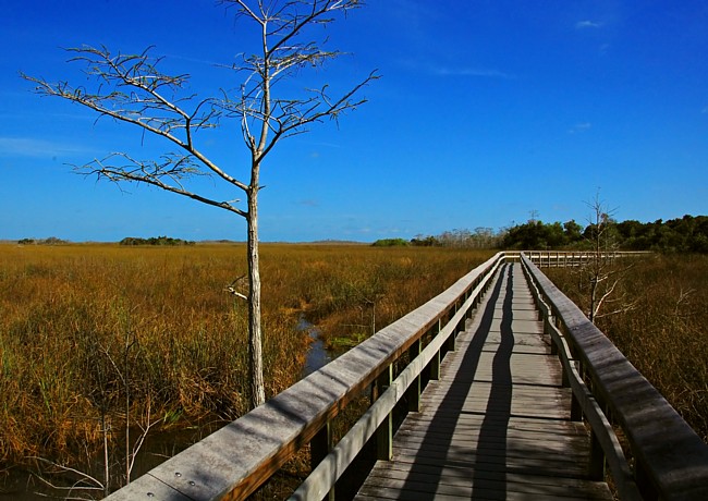 Pay-hay-okee Trail - Everglades National Park, Florida