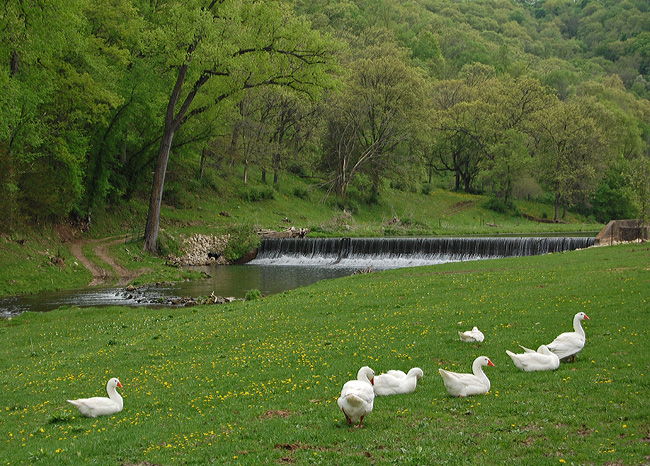 Schech's Mill, Beaver Creek - Caledonia, Minnesota