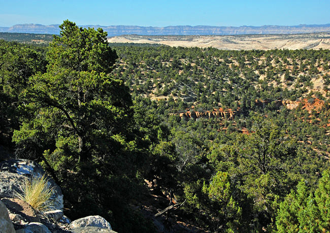 Death Hollow Canyon - Boulder, Utah