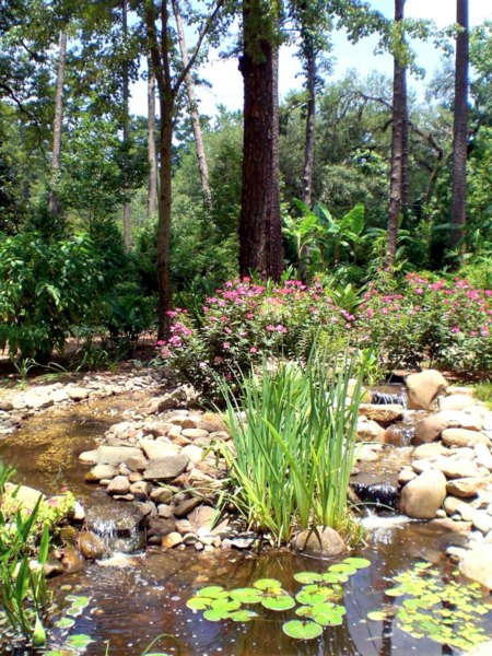 Dorothy B. Oven Park