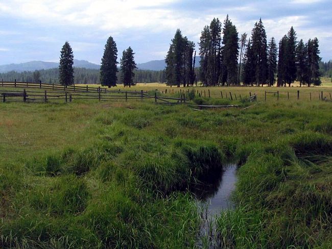 Moose Meadows
Bovill, Idaho