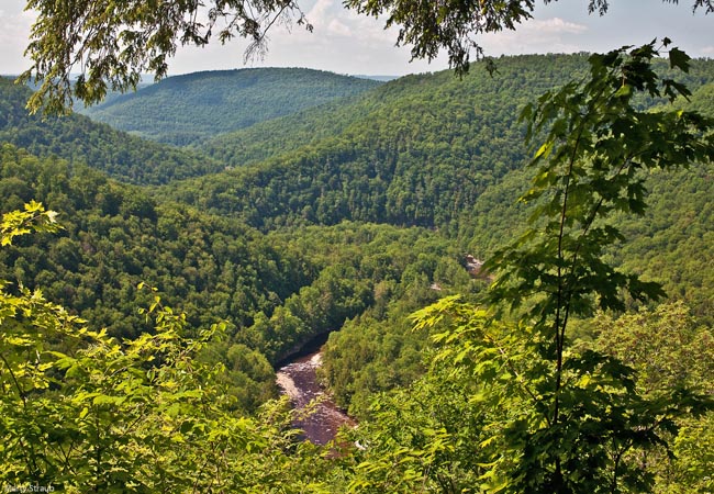 High Rock Vista - Worlds End State Park, Pennsylvania