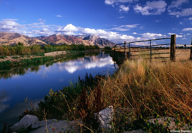 Bear River Refuge - Utah
