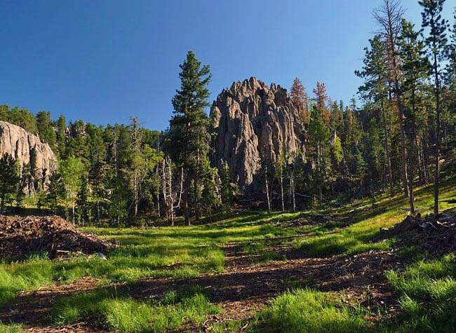 Black Elk Wilderness - Black Hill, South Dakota