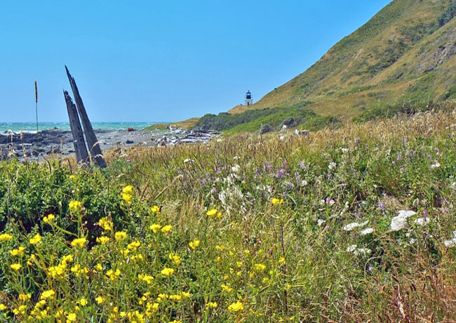 Lost Coast - King Range National Conservation Area, California