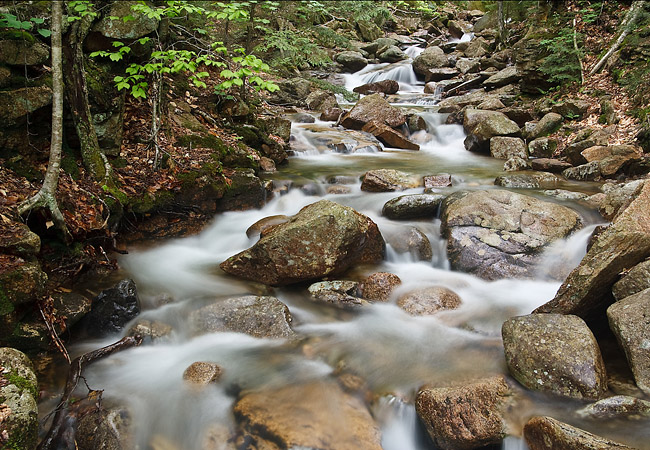 Cascade Brook - Franconia Notch State Park, New Hampshire