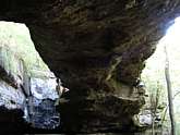 Snail's View - Alum Cove Bridge