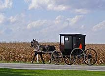Amish Buggie - Elkhart County, Indiana