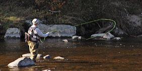 Ausable River Fly Fisherman
