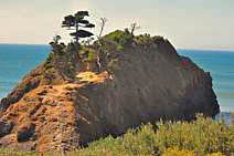 Battle Rock - Port Orford Heads