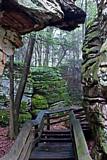 Beartown Boardwalk