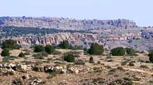 Black Mesa - Cimarron County, Oklahoma