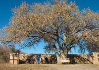 Birder and Photographer blind- Bosque del Apache</a> National Wildlife Refuge, New Mexico