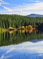 Clear Lake - Oregon Route 126