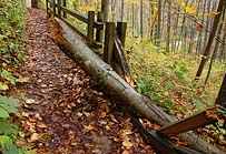 Crabtree Falls Trail