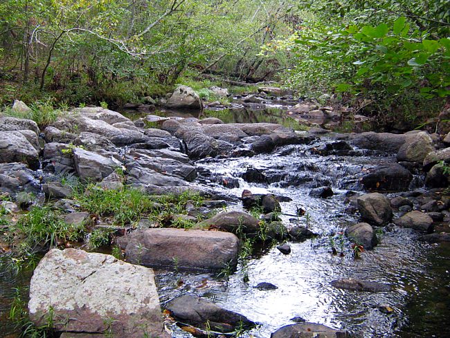 Pickle Creek