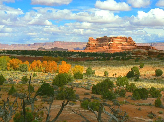 Squaw Butte - Squaw Flat Scenic Byway, Monticello, Utah