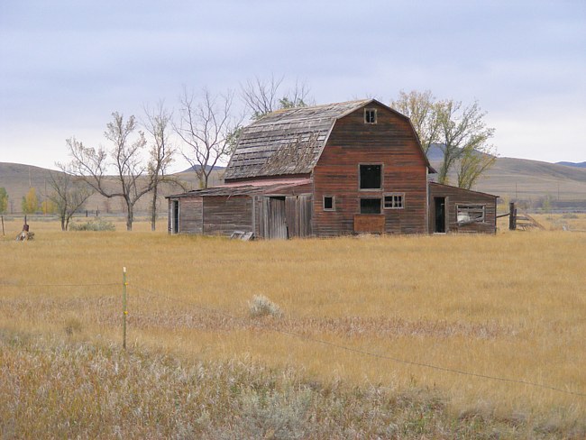 Buford Farm