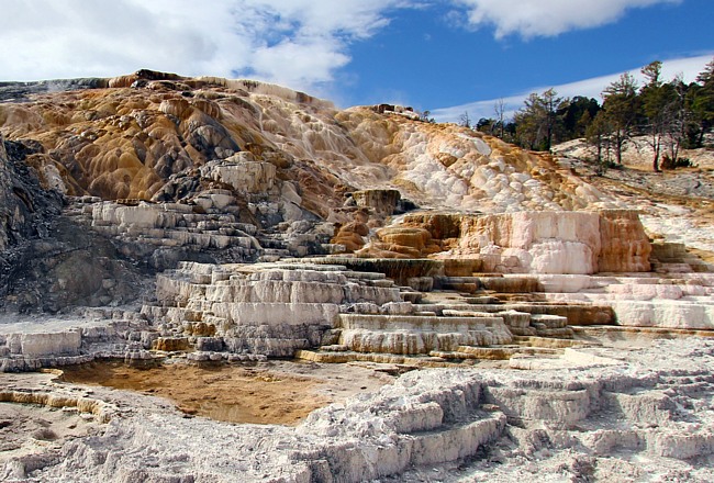 Minerva Terrace - Yellowstone National Park, Wyoming