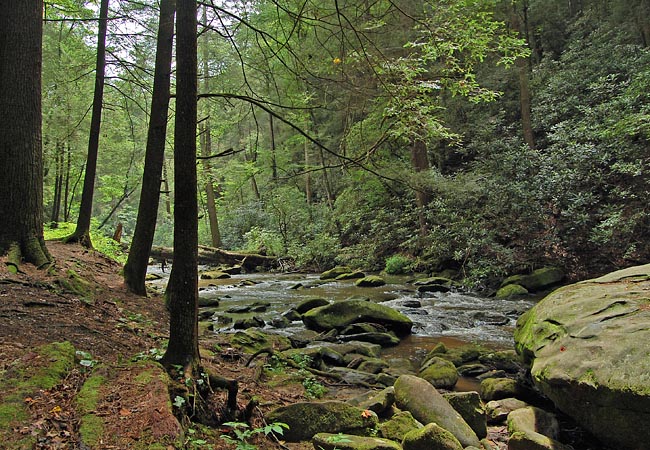 Noontootla Creek - Chattahoochee National Forest, Newport, Georgia