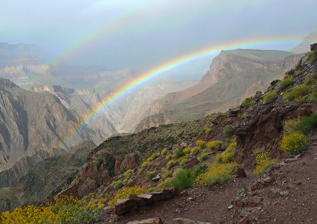 Clear Creek Trail - Grand Canyon, Arizona