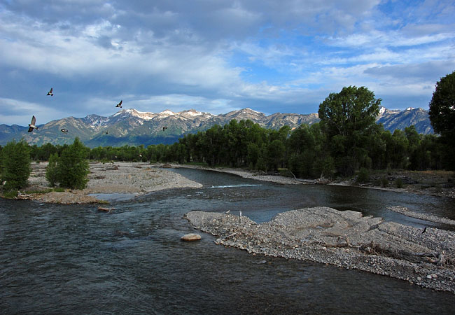 Gros Ventre River - Grand Teton National Park, Wyoming