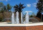 Centennial Park Fountain - Edisto Memorial Gardens