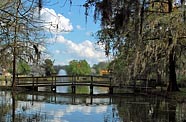 Centennial Park Fountain - Edisto Memorial Gardens
