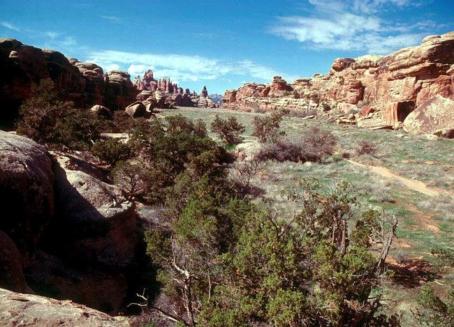 Devils Lane