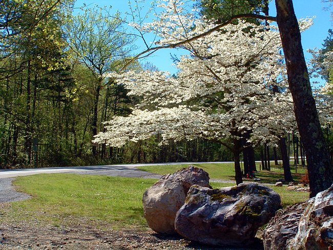 Arkansas Scenic Byway