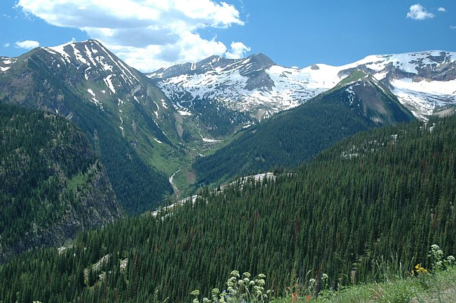 Crystal River View