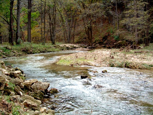 Backbone Creek
