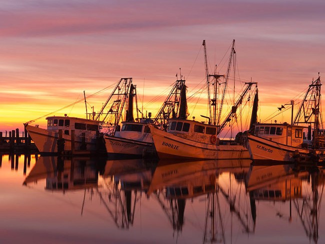 Fulton Harbor - Texas