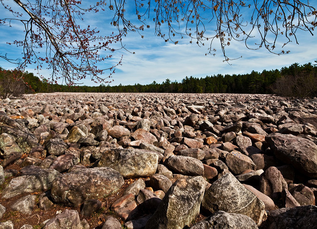Massive boulder field, Hickory Run State Park - Pennsylvania