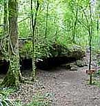 Florida Caverns Tunnel Cave