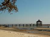 Fontainebleau State Park - Lake Pontchartrain