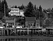Port Clyde Waterfront