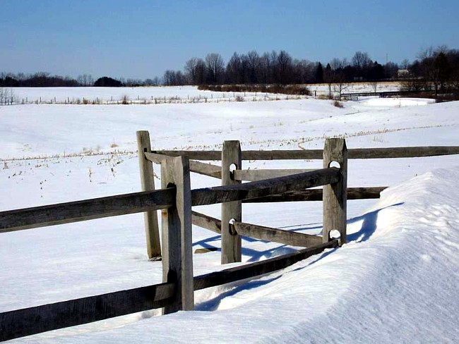MetroParks Farm