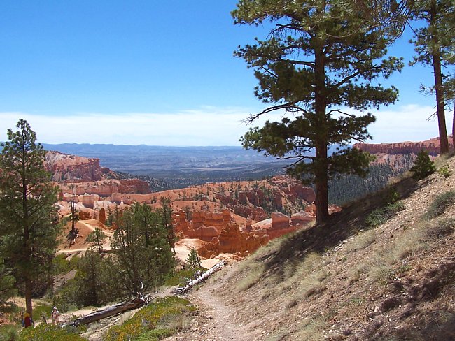 Sunrise Point - Bryce Canyon