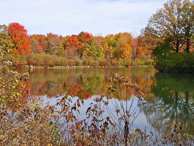 Tinker's Creek State Park