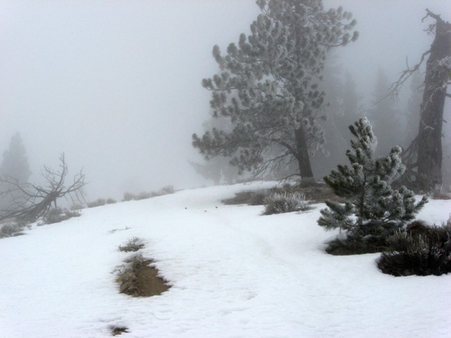Burch Mountain View - Wenatchee, Washington