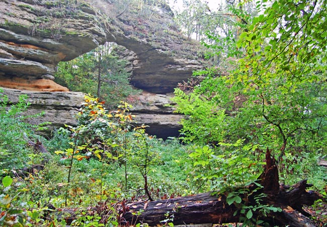 Leland Bridge - Natural Bridge State Park, Leland, Wisconsin