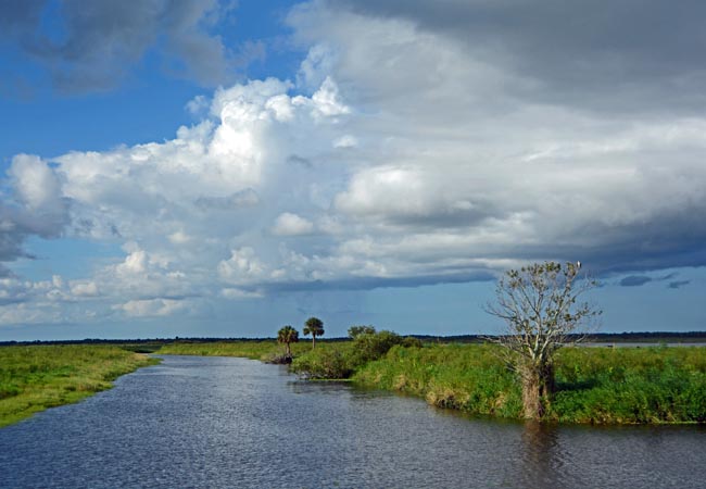 Canaveral Marshes - Brevard County, Florida