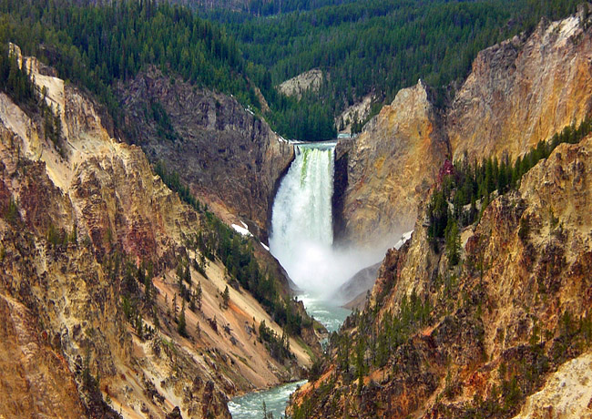 Lower Yellowstone Falls - Yellowstone National Park, WY
