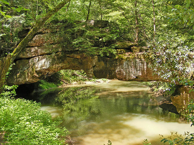 Rock Bridge - Red River Gorge, Kentucky