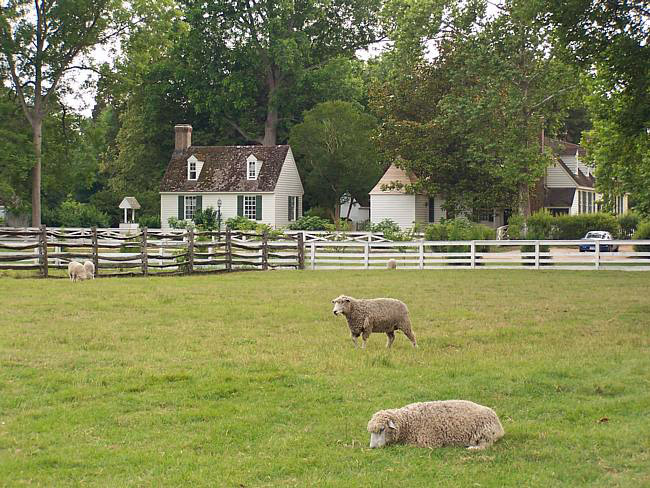 Williamsburg Pasture
